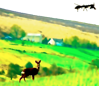 Deer-Hunting-with-Drones